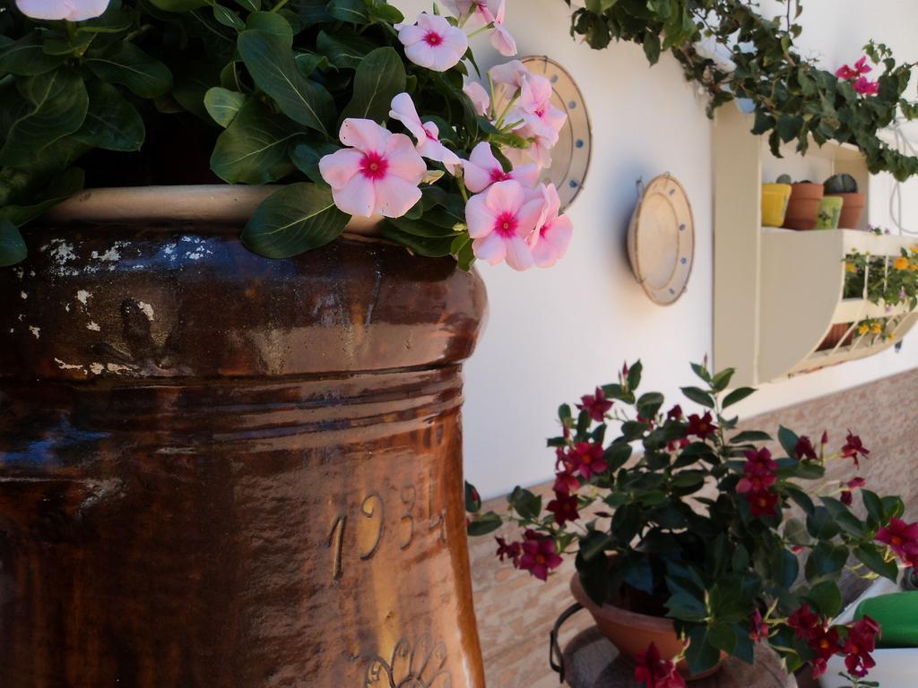 B&B Il Viandante Mesagne Bagian luar foto
